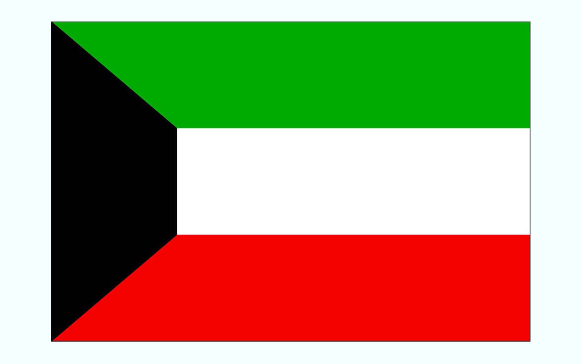 Kuwait flag large