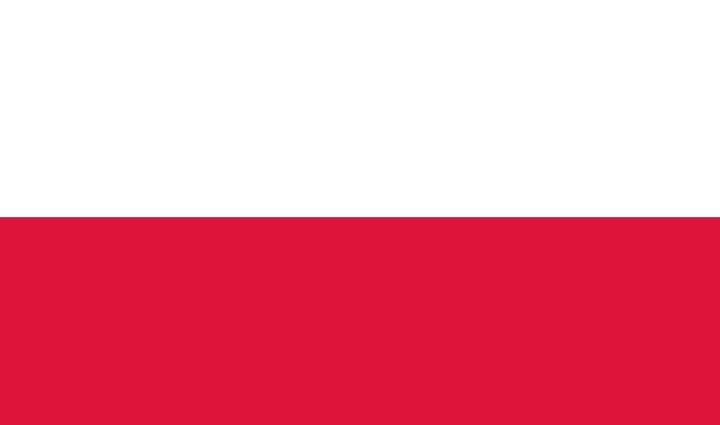 Poland flag large